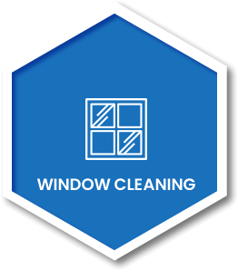 Window Cleaning Button